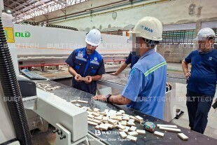 Panel Saw (20)